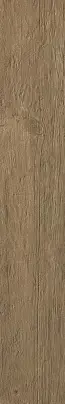 Brown Chestnut