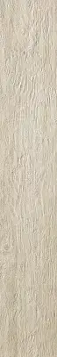 White Pine