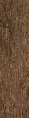 Dark Oak