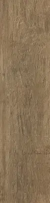 Brown Chestnut
