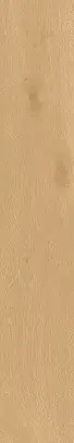 Pale Oak Natural Matt Sensitech