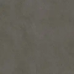 Coal