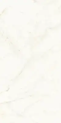 Calacatta Delicato Polished