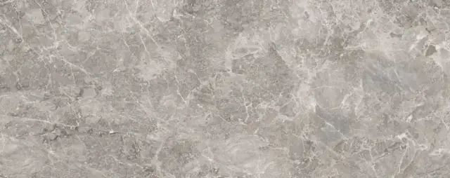 PORCELANOSA ELEGANT GREY 59.6х150 G-276