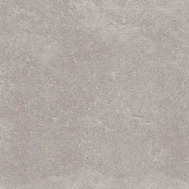 PORCELANOSA VERBIER SILVER L 120х120 G-392