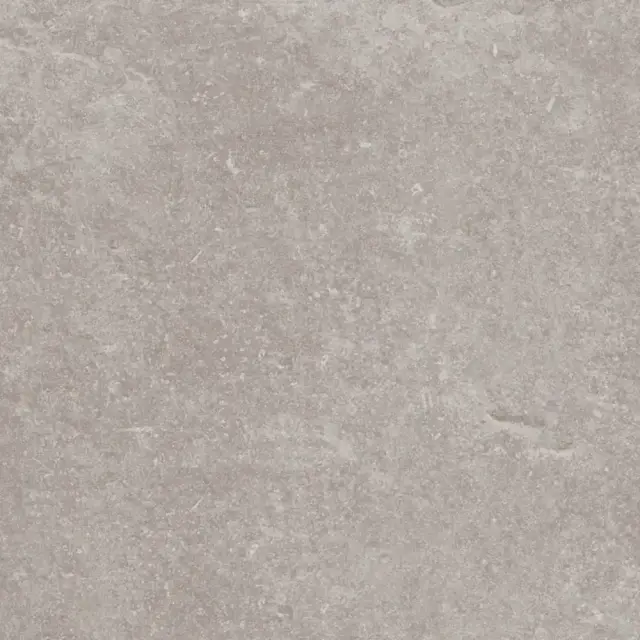 PORCELANOSA VERBIER SILVER L 59.6х59.6 G-354