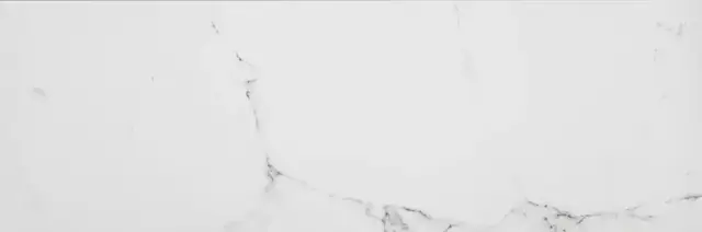 PORCELANOSA MARMOL CARRARA BLANCO 33.3х100 G-261