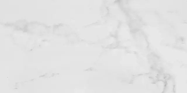 PORCELANOSA CARRARA BLANCO NATURAL 59.6x120 G-369