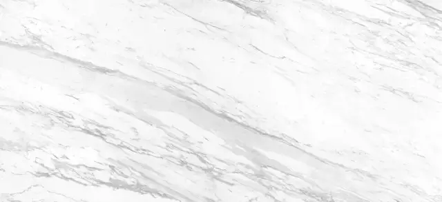 APAVISA ELEGANCE WHITE POLISHED BOOKMATCH BLOCK A 119.3x260x6.5 G-3495