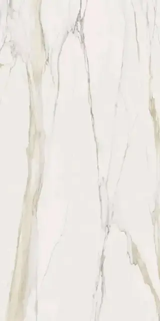 Marble Calacatta Gold A Mat. Stu 12 mm ZZ 160x320