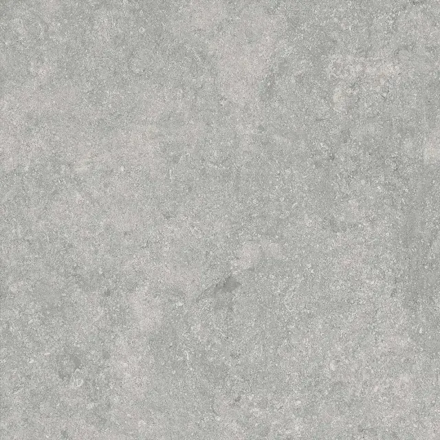 Fossil Gris 2 cm 60x60