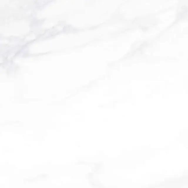 Payer Elegant G281/Пайер Элегантный мат. 60x60