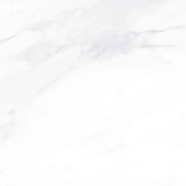 Payer Elegant G281/Пайер Элегантный полированный 60x60
