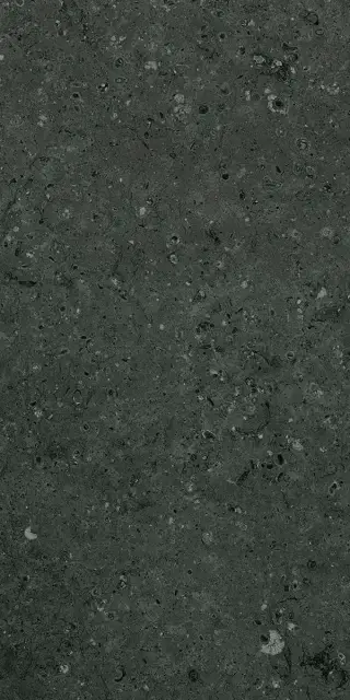 Аркаим черный ГР215 мат 60x120 KL