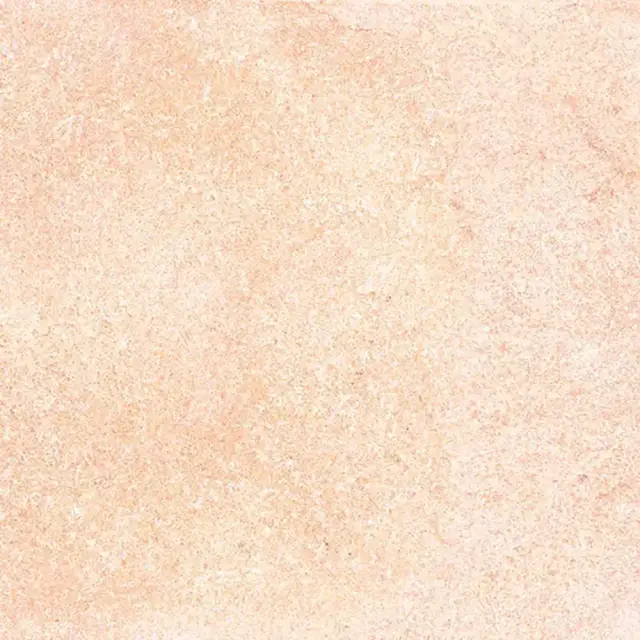 Shunut Beige G302/Шунут бежевый мат.60x60 XX