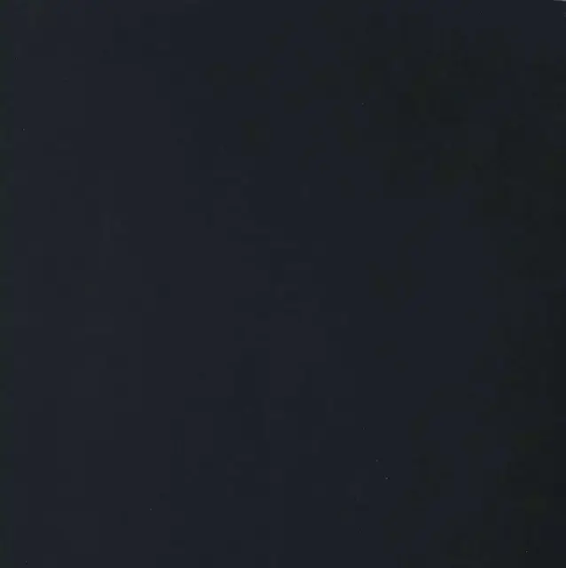 Black Naturale ZZ 120x120 