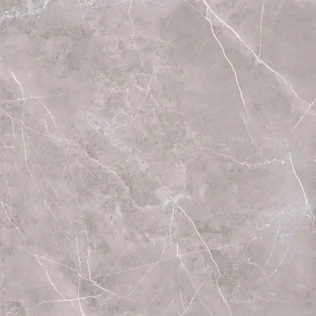Pulpis grey 60x60