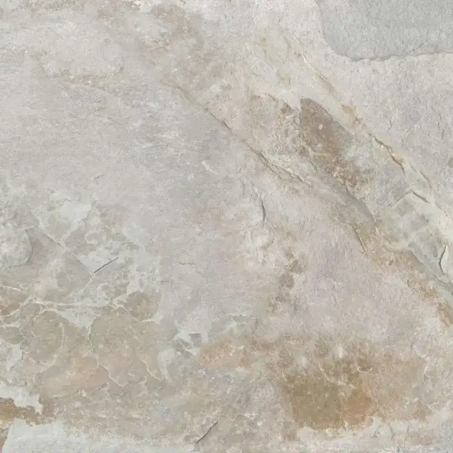 Bet Tomor 60x60