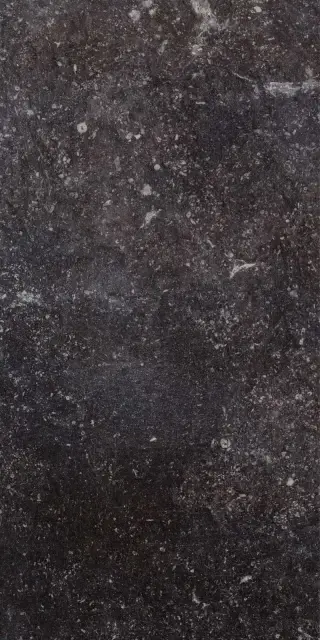 Ardenne Nero 20х40