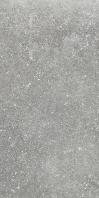 Ardenne Grigio 20x40