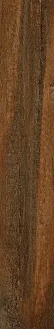 Leccio Verniciato KL 20x120