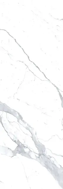 Bianco Statuario Venato 5,6 mm |100x300