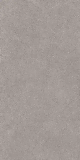 Luna LN02 grey непол.60x120