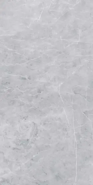 Vision 02 grey неполир. |60х120 XX