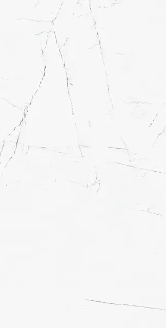 Грес Vision 01 white неполир. |60х120 XX