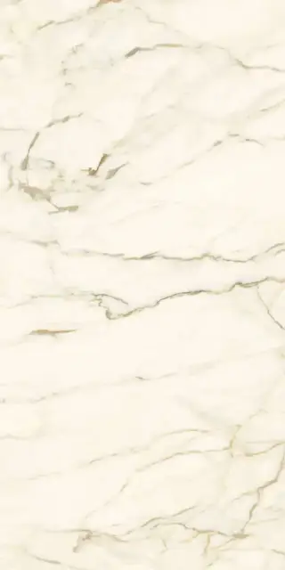 Calacatta Macchia Vecchia Luc |60x120