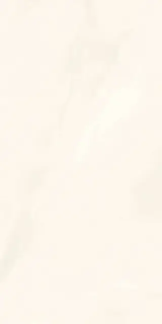 Onice Bianco Extra Lev Silk XX 60x120
