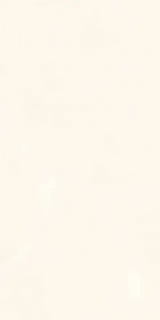 Onice Bianco Extra Luc |60x120