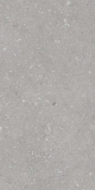 Shellstone Grigio 60x120