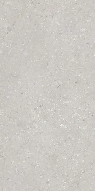 Shellstone Bianco 60x120
