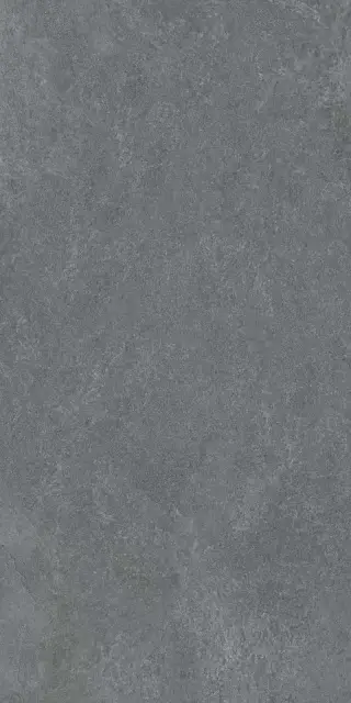Posh Coal 60x120