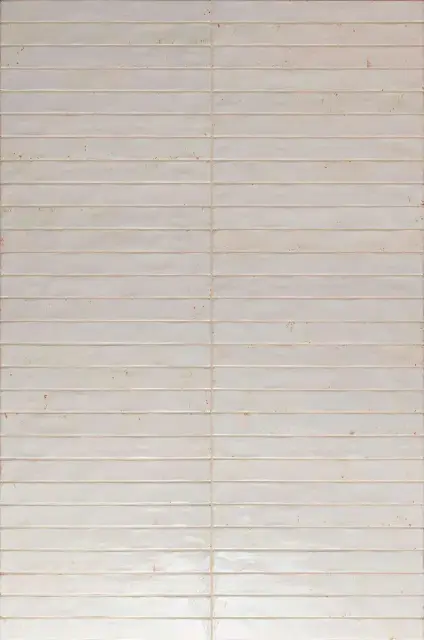 Colors White 4,8x45
