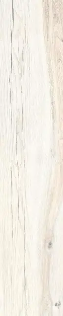 Daring Ivory |24x120
