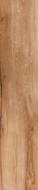 Daring Nut |24x120