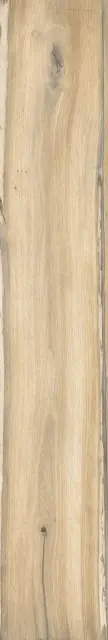 Infinity (Infusion) Birch 24x150