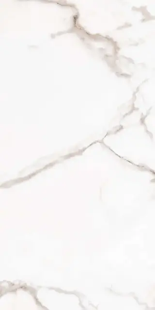 Iceberg 2001 Белый Матовый 60х120
