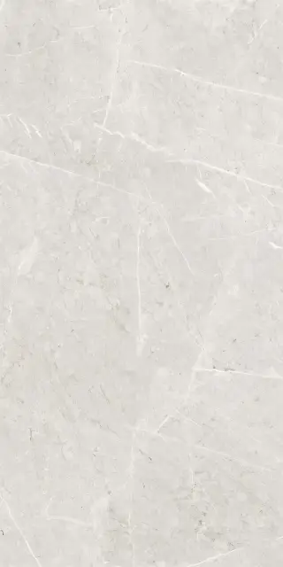 Skala 2201 Белый Матовый 60х120