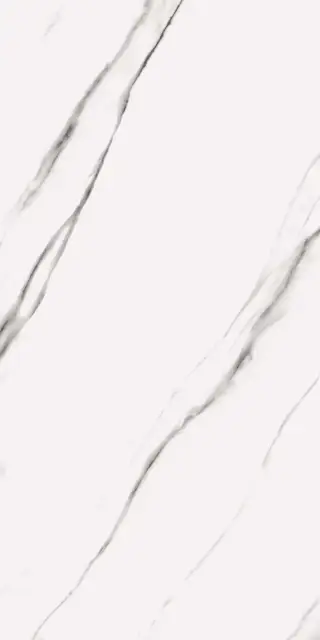 Butik 2020 Белый Матовый 60х120