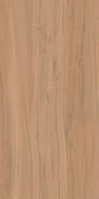 Alleya 2102 Коричневый Структурированный 60x120