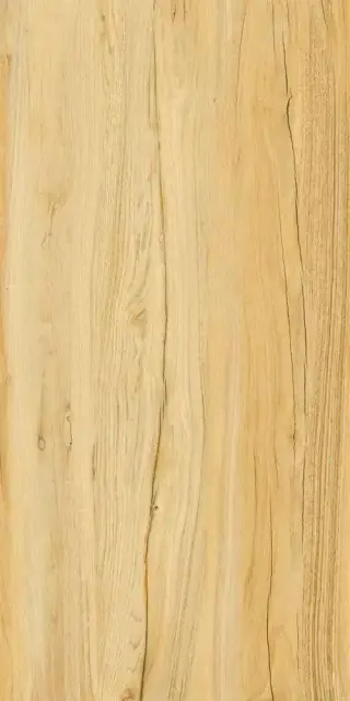 Alleya 2101 Медовый Структурированный 60x120