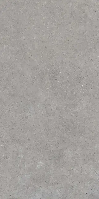Monochrom 2062 Серый Темный  Матовый 60х120