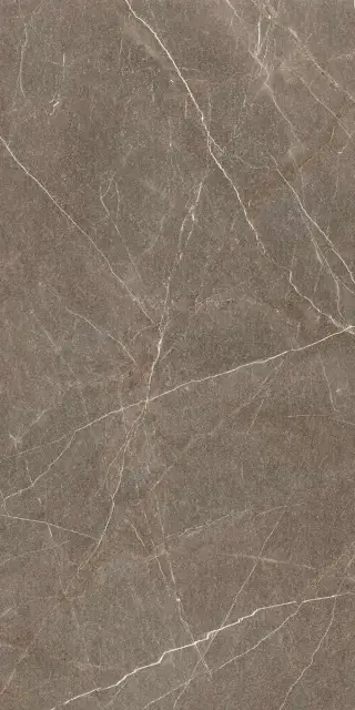 Гранит София Велюр MR матовый 60x120 XX