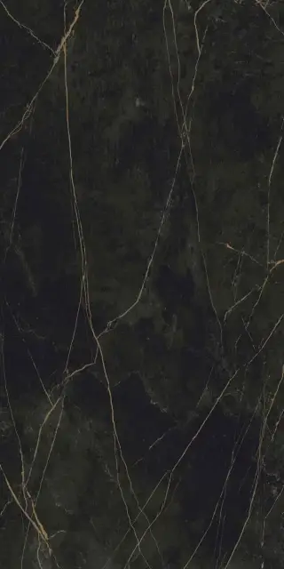 Гранит Сандра черно-оливковый MR матовый 60x120