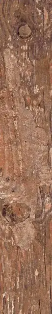 Kiwi Redroot Mat 20x120