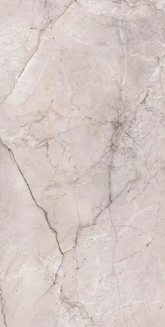 Marble Dragon Grey Silk 60x120