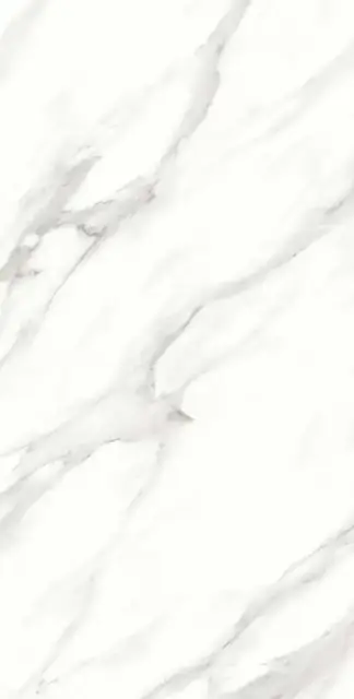 Calacatta Vero Satin 60x120